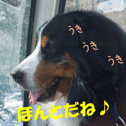 a4.jpg