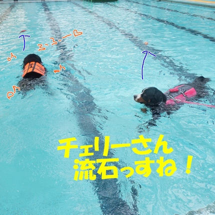 a5.jpg