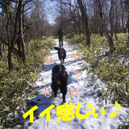 a5.jpg