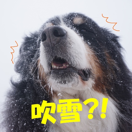 a5.jpg