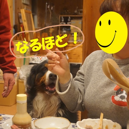 a6.jpg