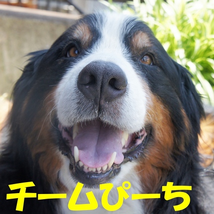 b5.jpg