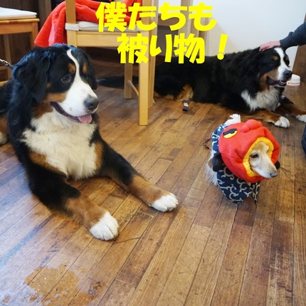 b9.jpg