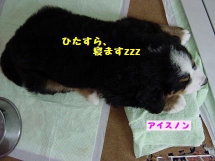 hitasu.jpg