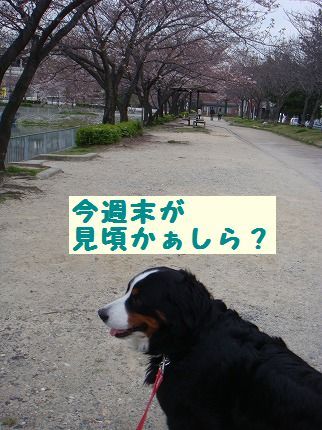 migoro.jpg