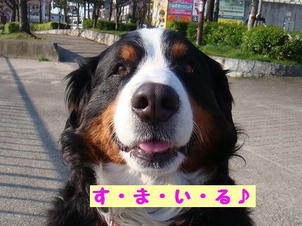 sumairu.jpg