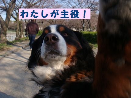 syuyaku.jpg