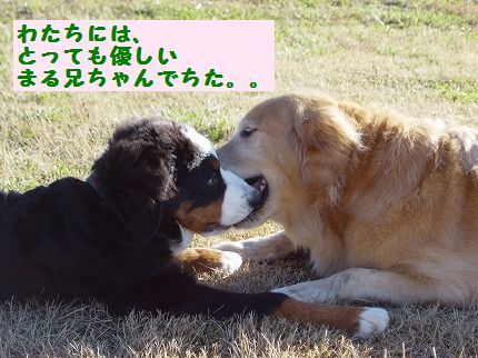 yasashi.jpg
