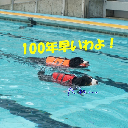 a10.jpg