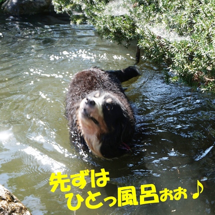 a3.jpg