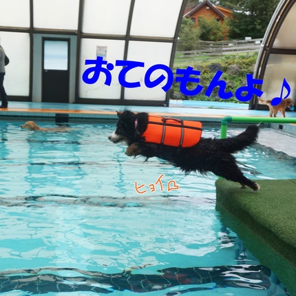 a4.jpg