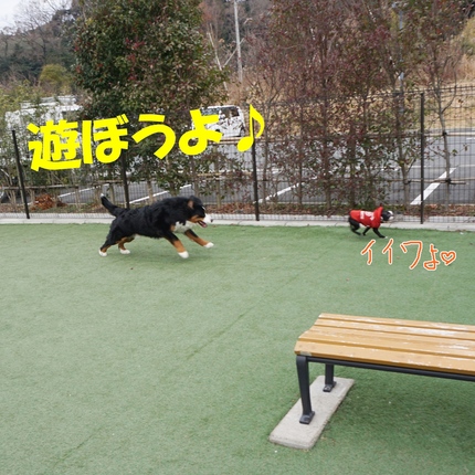 a7.jpg