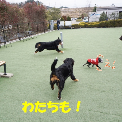 a8.jpg