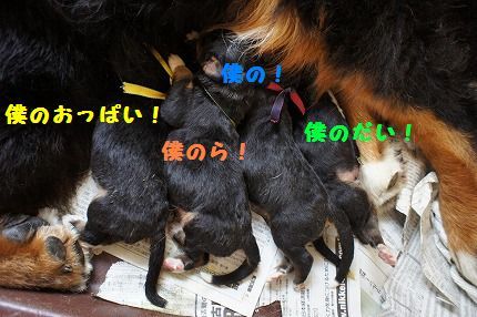bokuno.jpg