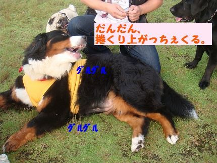 gureuguru.jpg