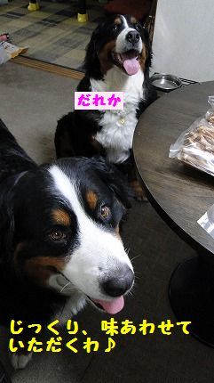 jikuri.jpg
