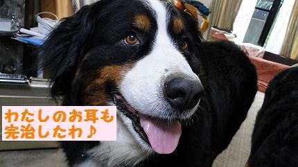kannchi.jpg