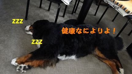 kekkou.jpg