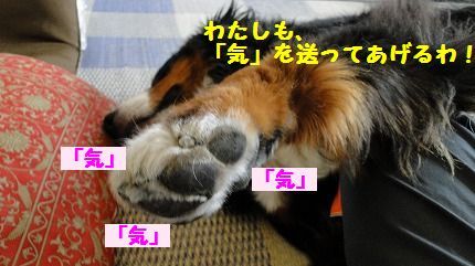 ki.jpg