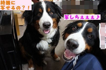 kireiutu.jpg