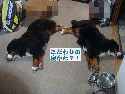 kodanw.jpg