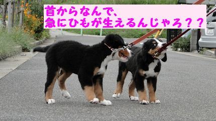 kyuuni.jpg