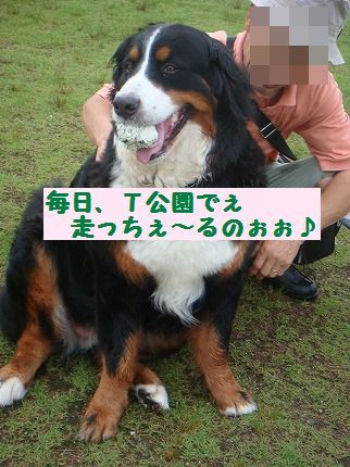 mainichi.jpg