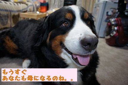 mousugu.jpg