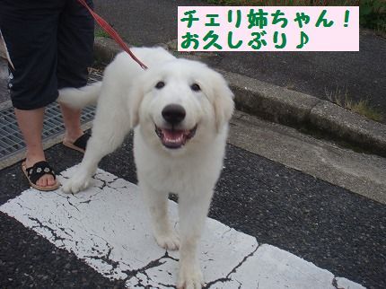 ohisa.jpg