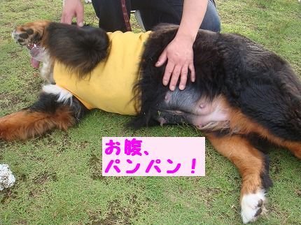 onaka.jpg