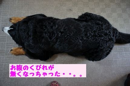 onakanokubire.jpg