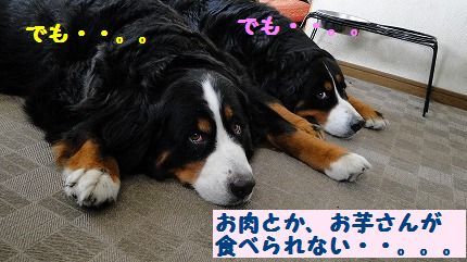 oniku.jpg