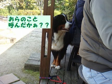 orayobu8.jpg