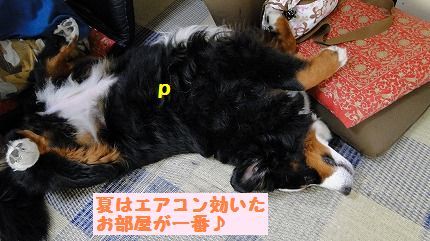 peaー.jpg