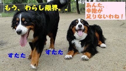 shinbou.jpg