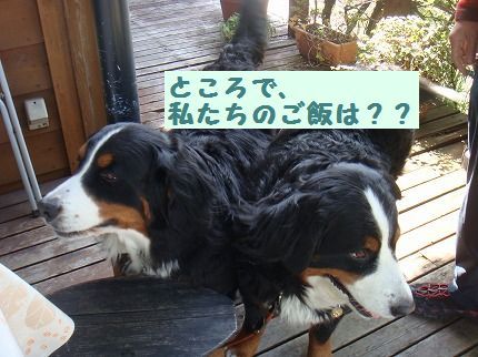 tokorode.jpg