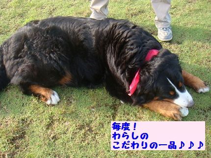 watashino.jpg