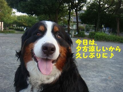 yuugata.jpg